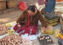 the egg vendor
