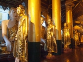 hall of Buddhas